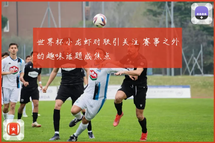 世界杯小龙虾对联引关注 赛事之外的趣味话题成焦点