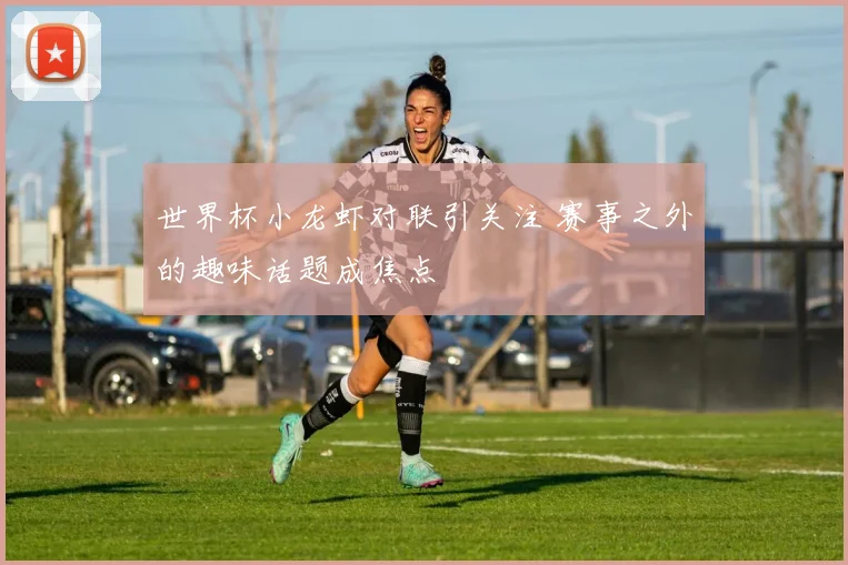 世界杯小龙虾对联引关注 赛事之外的趣味话题成焦点