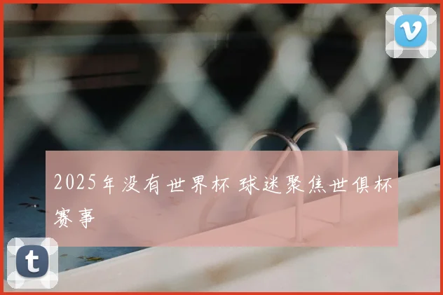 2025年没有世界杯 球迷聚焦世俱杯赛事