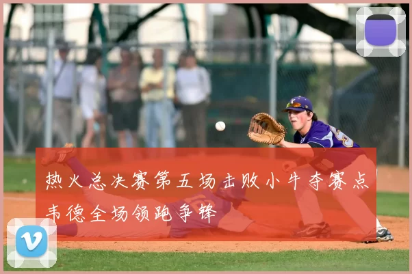 热火总决赛第五场击败小牛夺赛点韦德全场领跑争锋