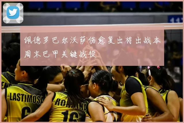 佩德罗巴尔沃萨伤愈复出将出战本周末巴甲关键战役