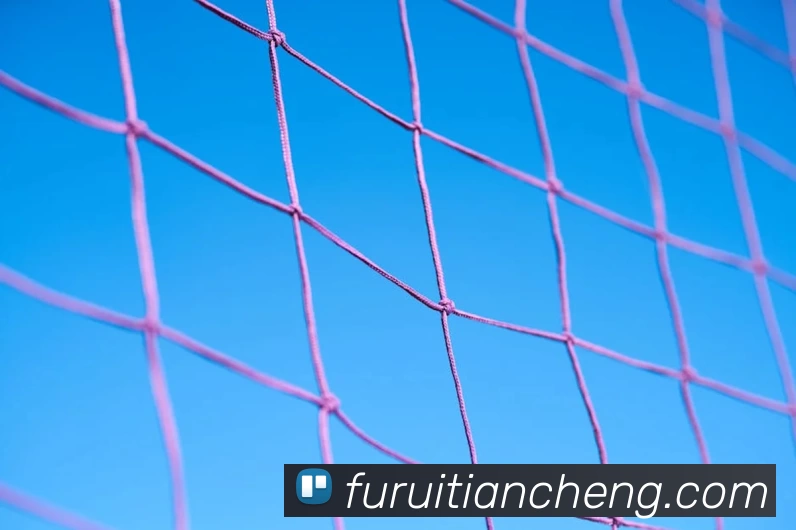 MK·Sports(中国体育)官方网站 - MK直面一切挑战服务体系